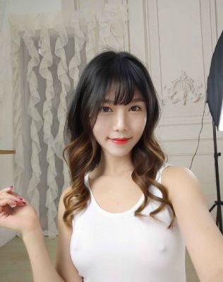 梅子鸡之味