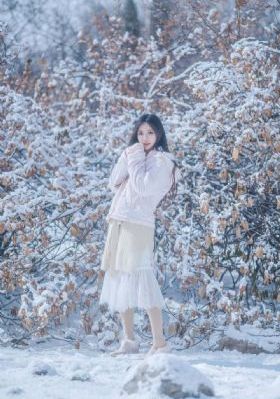九部的检察官电视剧在线观看免费